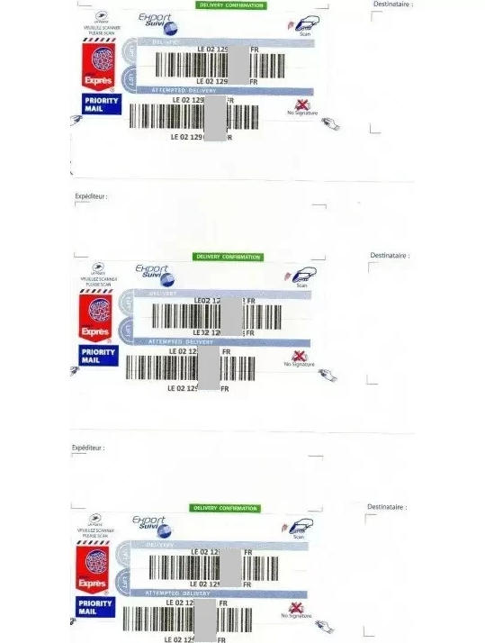 Etichette EXPORT TRACKING Adesivo internazionale LA POSTE World Express Letter 300 pezzi - Per buste formato DL 110 x 220