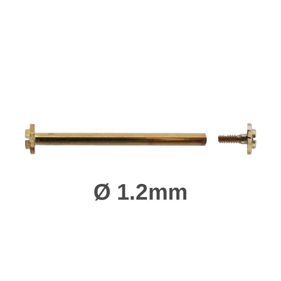 Vite - 8mm a 28mm Ø 1,2mm - Testa H Ø 2,5mm - Attacco cinturino orologio - Oro - 2 Pz