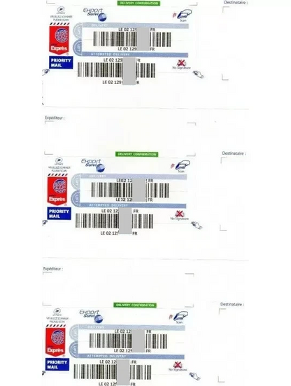 Etichette EXPORT TRACKING Adesivo internazionale LA POSTE World Express Letter 300 pezzi - Per buste formato DL 110 x 220
